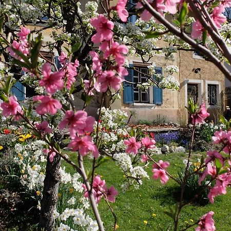 La Foyere Bed & Breakfast La Plagne Exterior foto